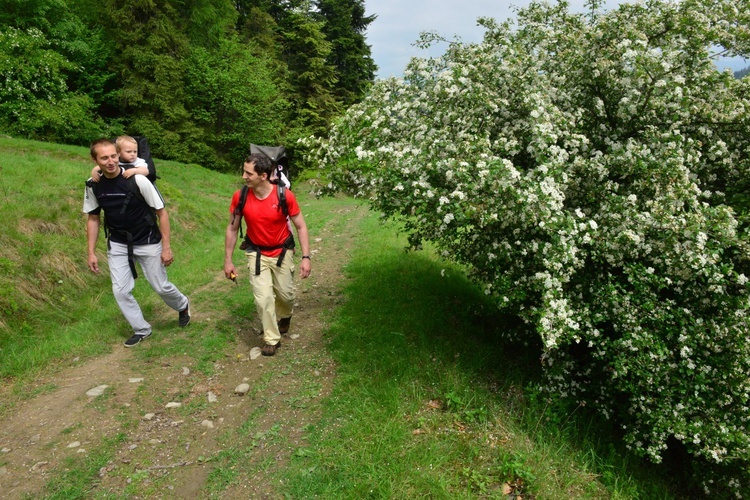 Krąg z Tymbarku na Turbacz