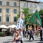 IV Marsz dla Życia i Rodziny - Kraków 2016