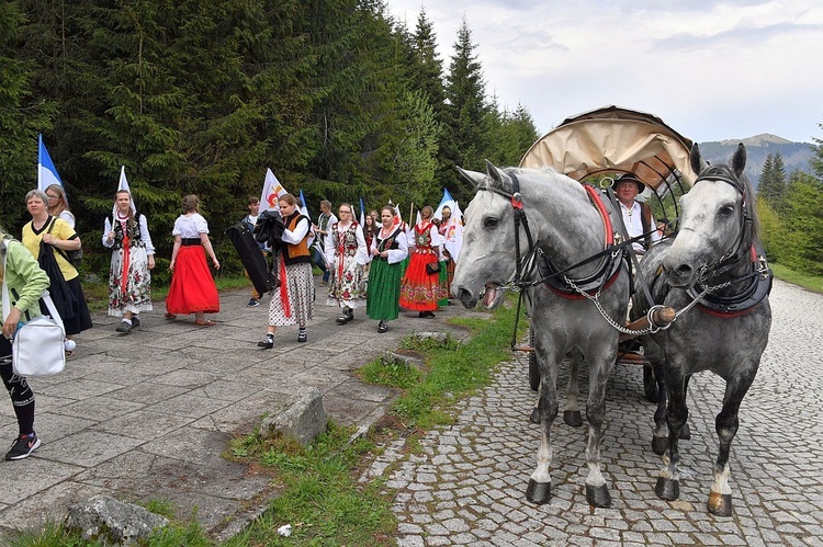 Z widokiem na góry