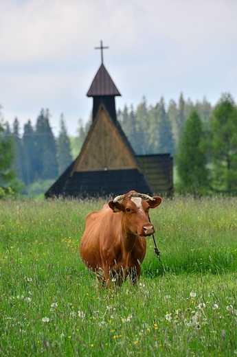 XIX Pielgrzymka Sursum Corda, cz. 2