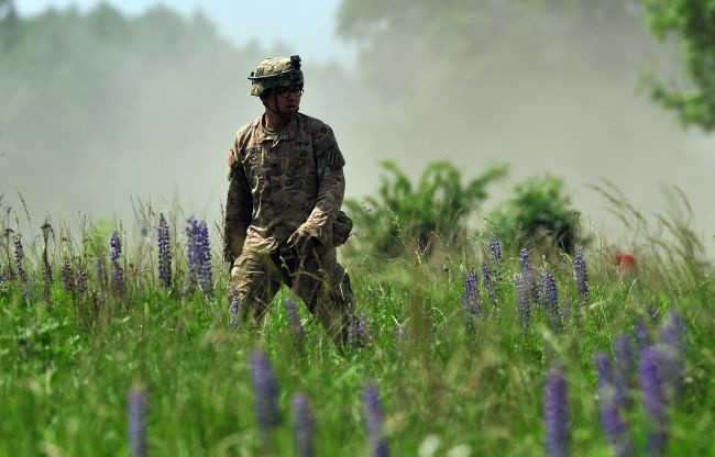 Anakonda-16 sprawdzi obronność wschodniej flanki