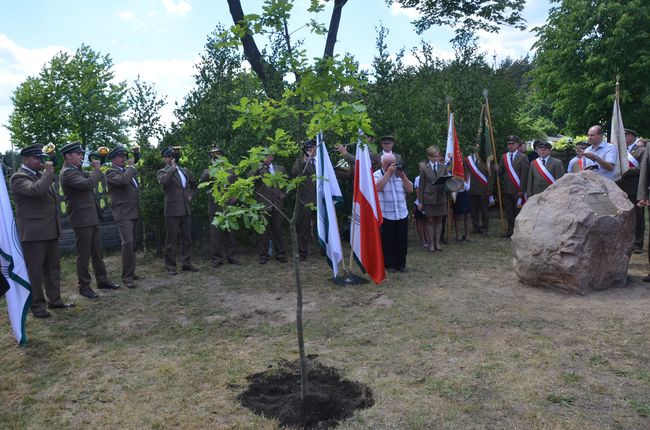 Ostrowieckie Dni Lasu