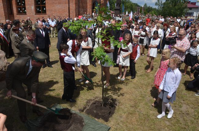 Ostrowieckie Dni Lasu