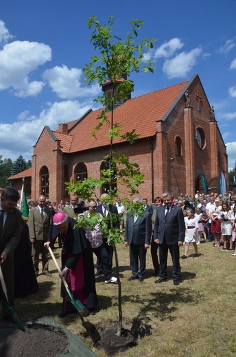 Ostrowieckie Dni Lasu