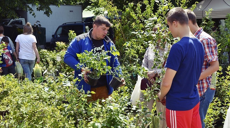 Wystawa rolnicza w Poświętnem