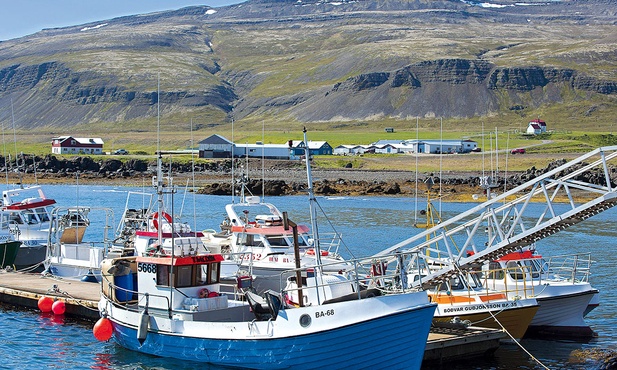 Rybołówstwo jest dla Islandczyków ważnym źródłem dochodów, chociaż obecnie więcej pieniędzy przynosi im przemysł hutniczy.
