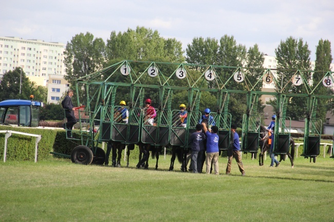 Wyścigi konne 2016