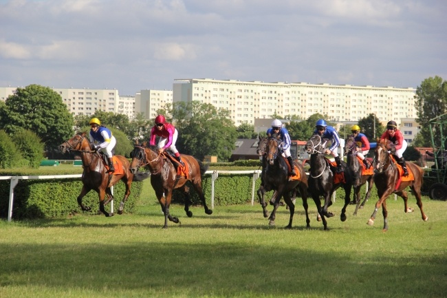 Wyścigi konne 2016