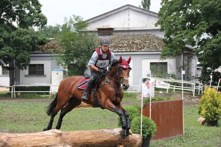 Zawody jeździeckie w Walewicach