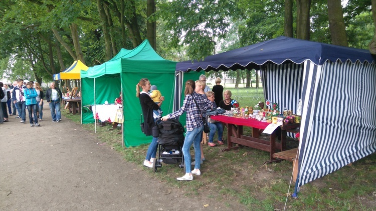 Średniowieczny zamek z łubianek