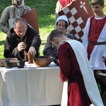 Piknik rycerski w Dąbrowie Tarnowskiej