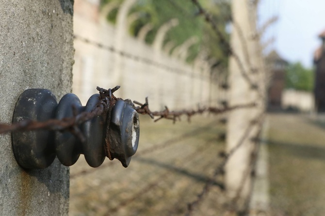 Franciszek w Auschwitz