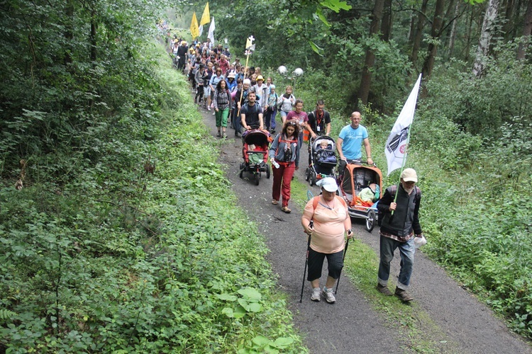 Dzień piąty: Wierzbica Górna - Kluczbork cz. 1