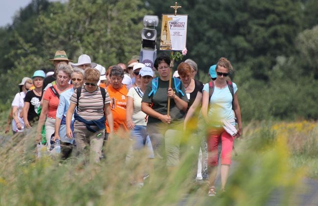 Nauczyciele na dobrej drodze