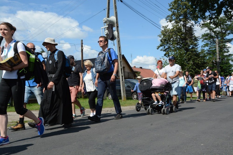 W drodze do Kamienia Śląskiego