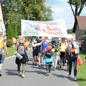 Strumień raciborski w Centawie