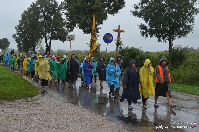 Radomska Pielgrzymka na Jasną Górę