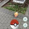 Pokémon na cmentarzu.