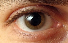 Diagnostyczne dno oka