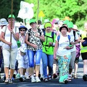 Wśród osobistych intencji pątników są: dziękczynienie za łaskę zdrowia, prośba o błogosławieństwo dla najbliższych, prośba o uwolnienie z nałogu.