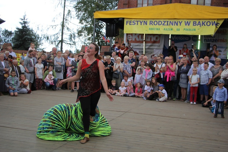 XIV Festyn Rodzinny w Bąkowie Górnym