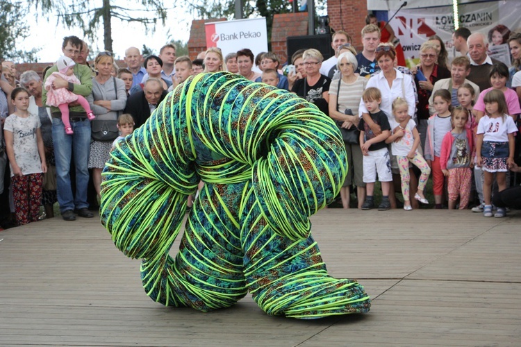 XIV Festyn Rodzinny w Bąkowie Górnym