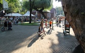 Powiększenie Parku Bukówka w Rybniku
