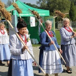 Dożynki w Żywcu AD 2016