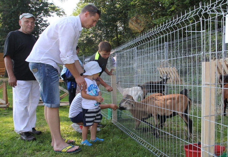 Dożynki w Żywcu AD 2016