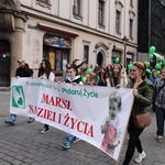 Marsz Nadziei i Życia Fundacji Urszuli Smok "Podaruj Życie" 2016