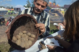 Ziemniaki od św. Tekli  