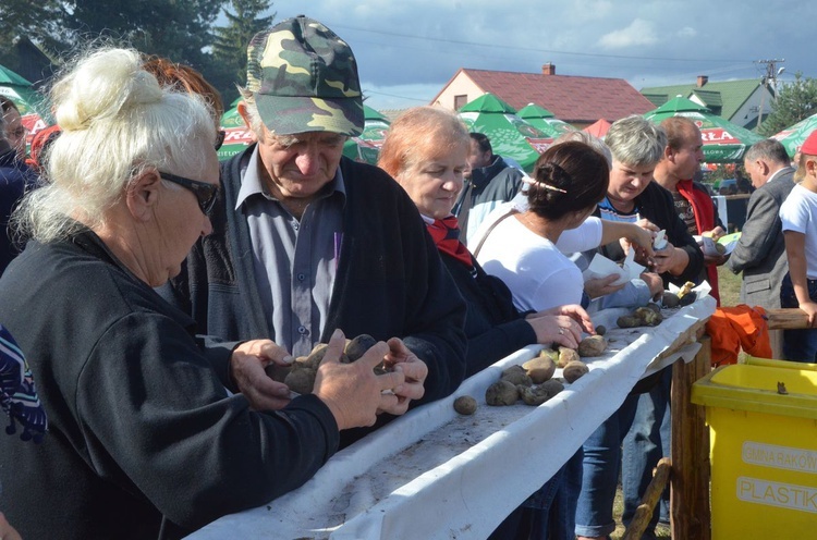 Święto pieczonego ziemniaka