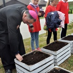 "Pola nadziei" w Darłowie