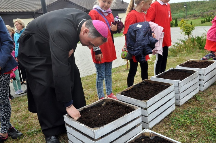 "Pola nadziei" w Darłowie