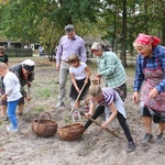 Festiwal Ziemniaka w radomskim skansenie