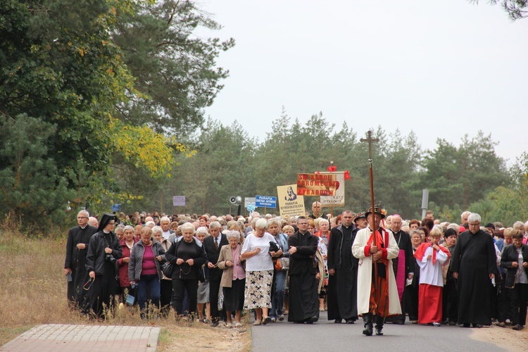 XII Pielgrzymka Kół Żywego Różańca do Domaniewic