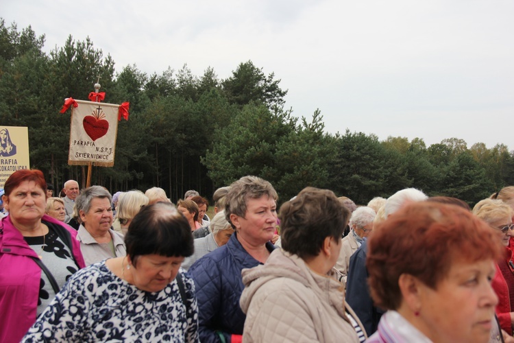 XII Pielgrzymka Kół Żywego Różańca do Domaniewic