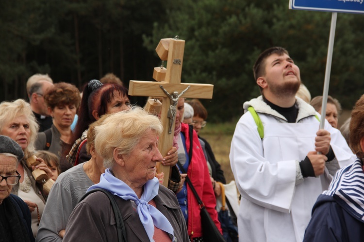 XII Pielgrzymka Kół Żywego Różańca do Domaniewic