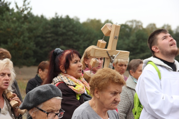 XII Pielgrzymka Kół Żywego Różańca do Domaniewic