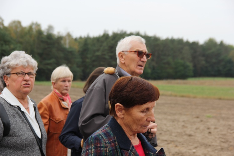 XII Pielgrzymka Kół Żywego Różańca do Domaniewic