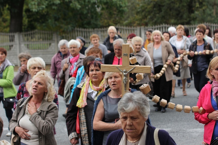 XII Pielgrzymka Kół Żywego Różańca do Domaniewic