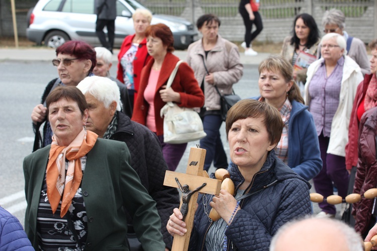 XII Pielgrzymka Kół Żywego Różańca do Domaniewic