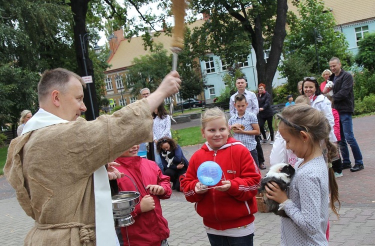 Błogosławieństwo zwierząt