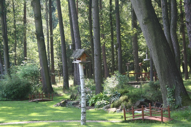 Najpiękniejsze ogrody regionu