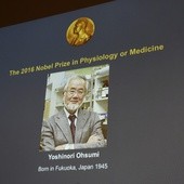 Nobel za odkrycie komórkowego serwisu sprzątającego