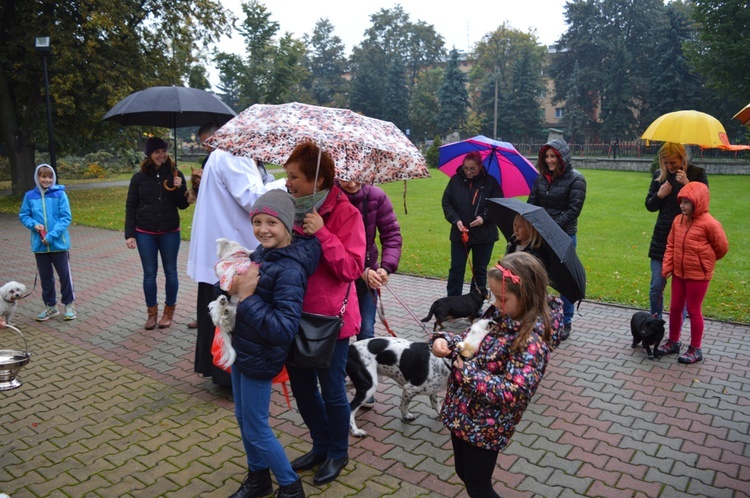 Czworonożne pupile przed kościołem 