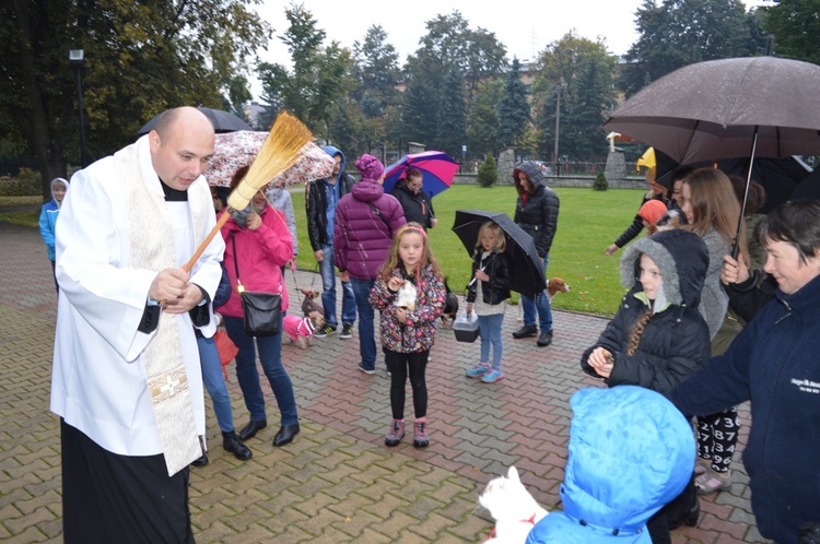 Czworonożne pupile przed kościołem 