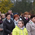 Powitanie ikony MB Częstochowskiej w Janisławicach