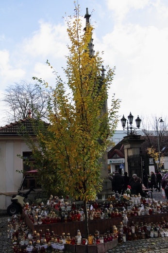 Dzień Zaduszny na cmentarzu Rakowickim