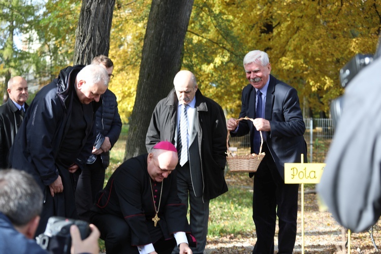 Inauguracja akcji Pola Nadziei 2016 w Bielsku-Białej